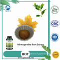 Withanolides 5% Powder Organic Ashwagandha Root Extract Withanolides 1%-5% Supplier